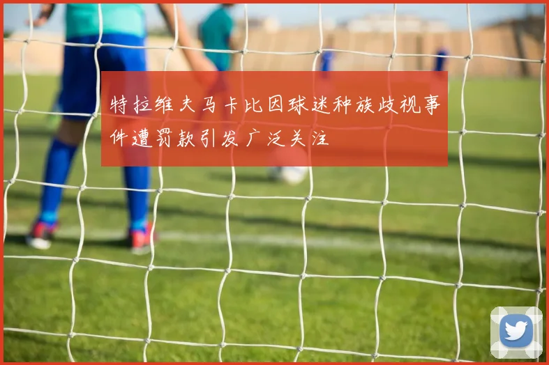 特拉维夫马卡比因球迷种族歧视事件遭罚款引发广泛关注