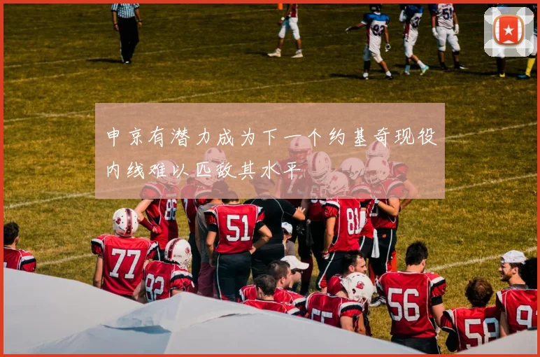 申京有潜力成为下一个约基奇现役内线难以匹敌其水平