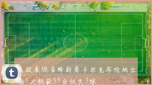 高效表现黄蜂新秀卡尔克布伦纳出场5次斩获55分仅失3球