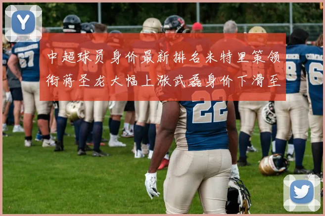 中超球员身价最新排名米特里策领衔蒋圣龙大幅上涨武磊身价下滑至50万