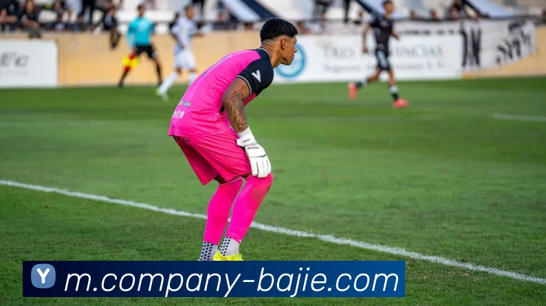 八戒体育APP 封面图